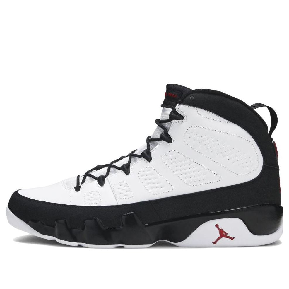 Air Jordan 9 Retro '2010 Release'  302370-102 Antique Icons